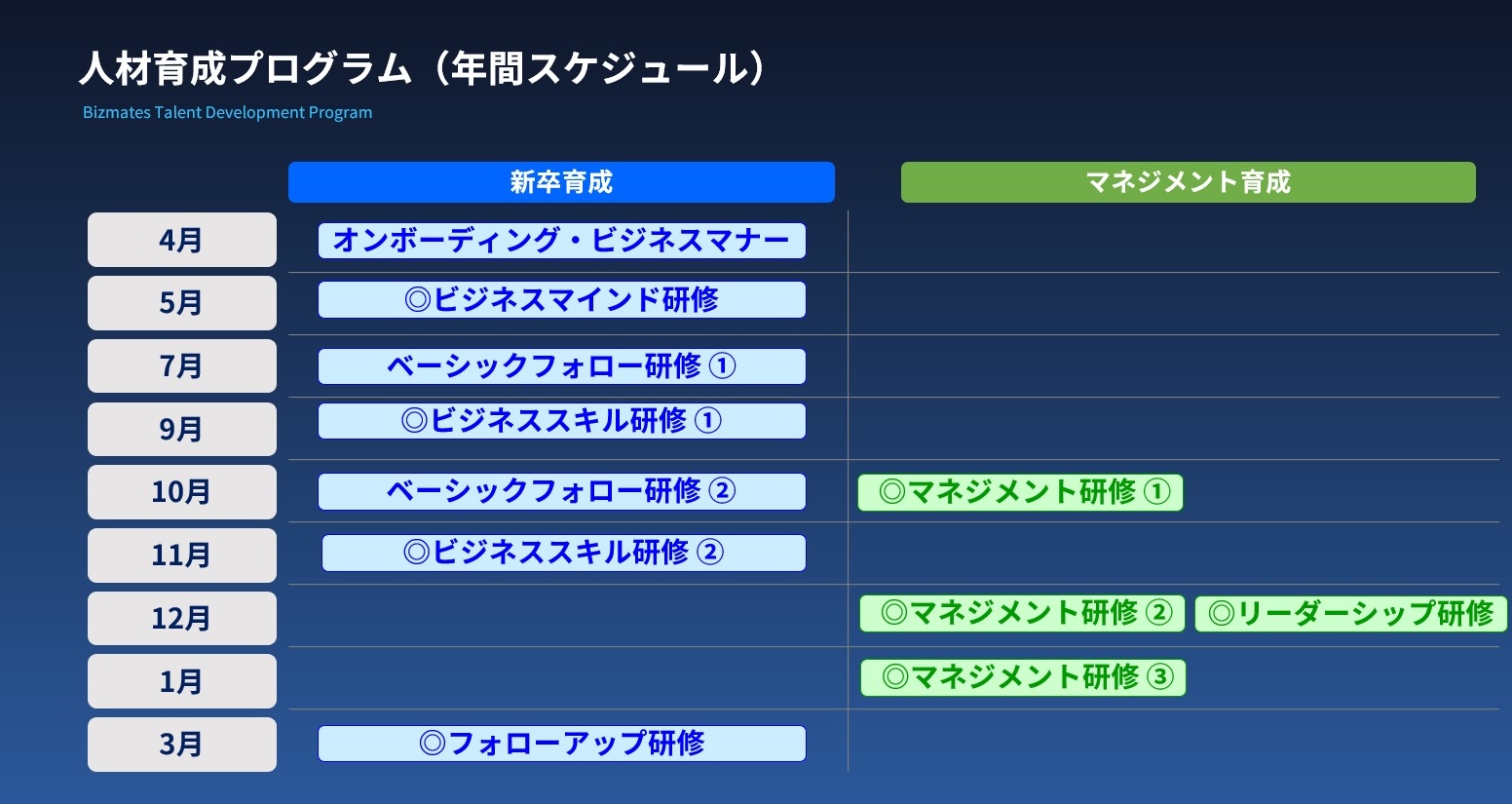 ビズメイツの育成プログラム.jpg